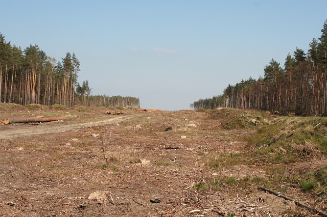 Budowa autostrady A4 - okolice Godzieszowa; widok w kierunku Bolesawca