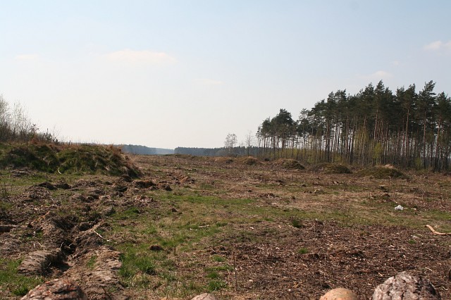 Budowa autostrady A4 - okolice Godzieszowa; widok w kierunku Jdrzychowic