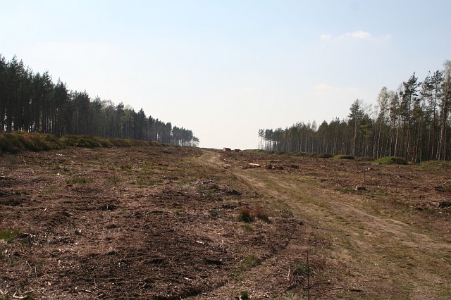 Budowa autostrady A4 - okolice Godzieszowa; widok w kierunku Jdrzychowic