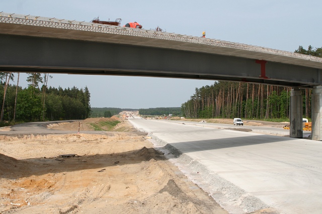 Budowa autostrady A4 - las na zachd od Czernej; widok w kierunku Bolesawca