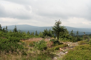 The Izera Mountains: view of the Czech part of ehe Jizera Mountains from the top of Stog Izerski