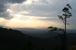The Jizera Mountains: Evening way down from the top of Smrk